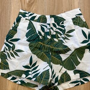 Ava Sky Green Leaf Print Women's Shorts, Small